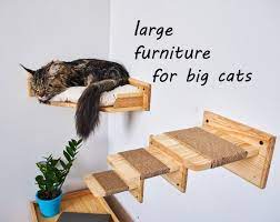 Large Cat Furniture For Maine Coon Big