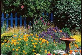 Growing An English Cottage Garden