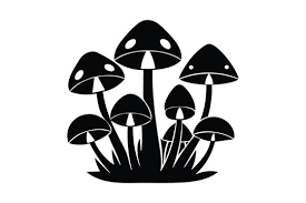 Fungal Icon Images Browse 9 381 Stock