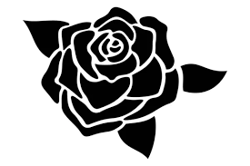 White Rose Logo Stock Photos Royalty