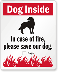 Save Dog Decal Sticker With Graphic