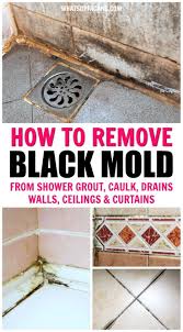 Black Mold Anywhere In Your Shower