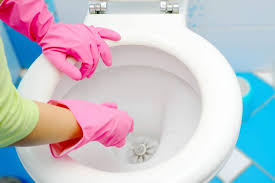 What To Use To Clean Toilet Seats