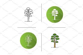 Pine Tree Icon Tree Icon Icon Design