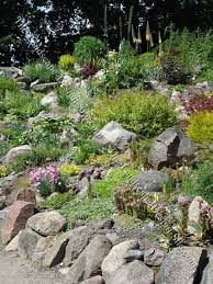 Hillside Rock Garden Plants Rock