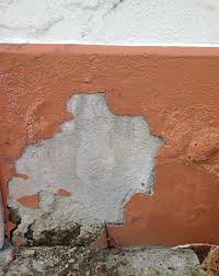 Signs There S Damp In Your Walls