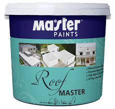 Exterior Paint Roof Master