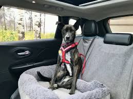 Crash Tested Dog Harnesses For The Car