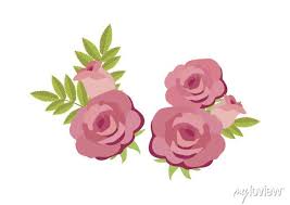 Pink Roses Bouquet Icon Vector Rose
