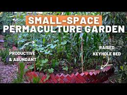 An Abundant Permaculture Garden In A
