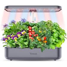 Yoocaa 12 Hydroponics Growing System