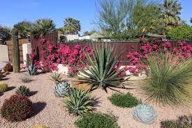 Gardening Without Water How To Garden