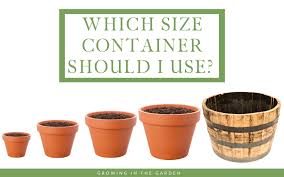 Guide To Container Sizes Which Size