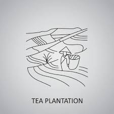 Tea Plantation Vector Art Icons And