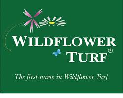Enriched Wildflower Turf Buy
