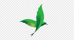 Logo Icon Swallow Marks Of Green Wings