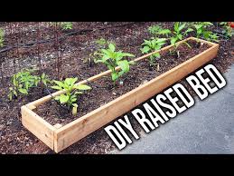 Diy Raised Bed Veggie Garden