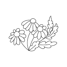 Matricaria Plant Line Icon Editable