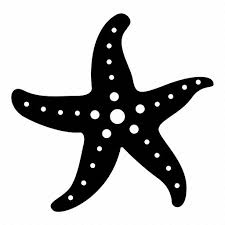 Star Starfish Tank Tropical Icon