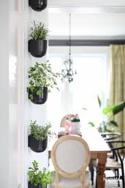 How To Create A Modern Kitchen Herb Garden