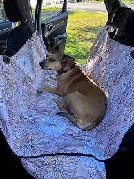 Boho Pet Seat Cover Dog Travel Seat