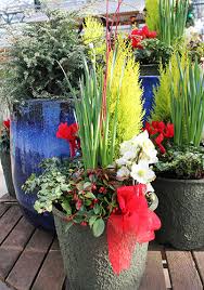 Winter Container Favorites To Mix