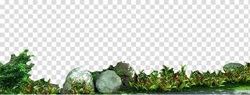 Transpa Background Png Clipart