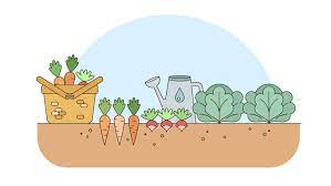 Vegetable Garden Vector Art Icons And