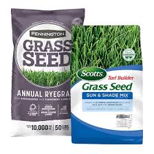 Grass Seed Lawn Care The Home Depot