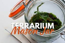 How To Make A Mason Jar Terrarium Step
