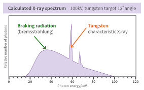 x rays arpansa