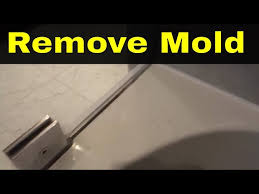 How To Remove Mold From Caulking Shower