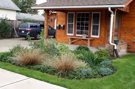 Rain Garden In West Seattle