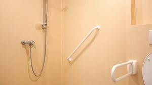 Accessible Toilet With Grab Rails
