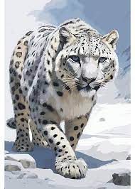 Vector Ilration Of A Snow Leopard