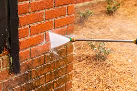 How To Clean Bricks Without Acid