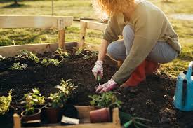 15 Gardening Tips Saber Healthcare