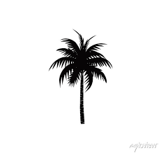 Coconut Tree Icon Palm Tree Vector