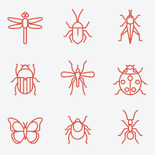 100 000 Ladybug Icon Vector Images