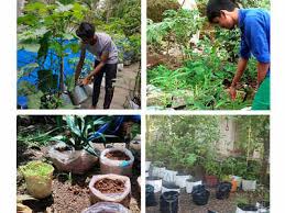 Cet Students Make Kitchen Gardens At