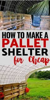 Pallet Shelter For Livestock