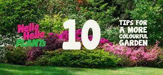 10 Tips For A More Colourful Garden