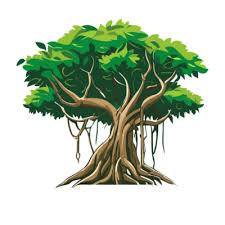 Banyan Tree Icon Png Clipart