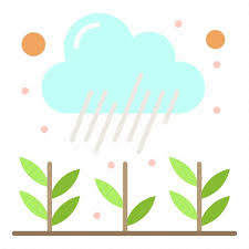 Growth Plant Rain Icon