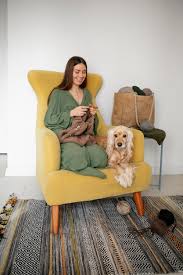 Dog On Couch Images Free On