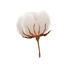 Cotton Flower Icon Soft White Plant For