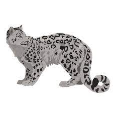 Snow Leopard Vector Art Png Images