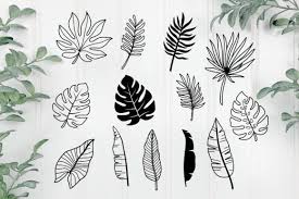 Tropical Leaves Svg Jungle Tropical