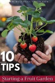 How To Start A Fruit Garden Kellogg