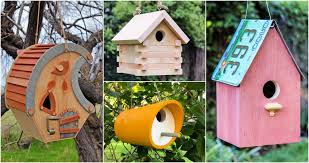 Diy Birdhouse Plans